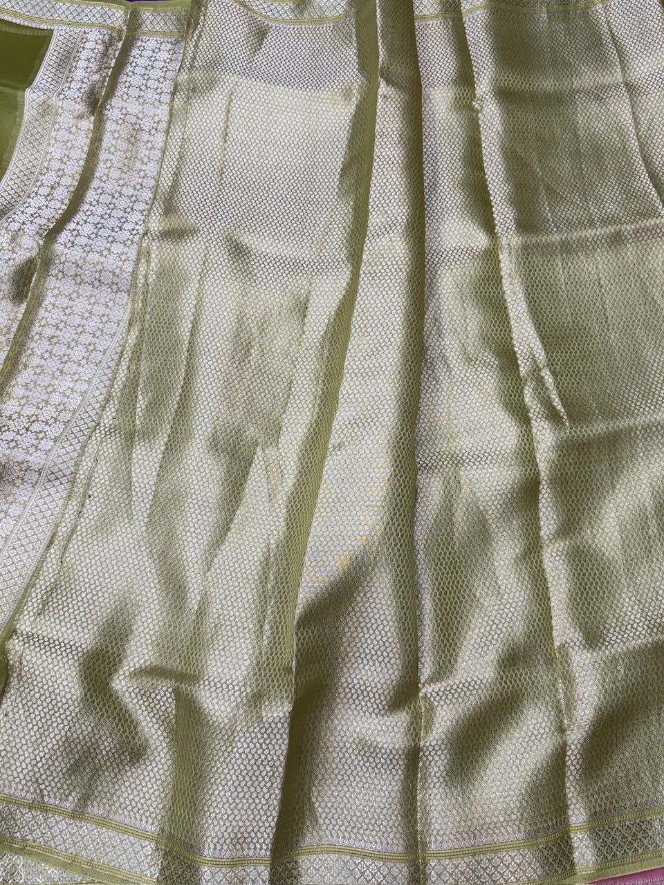 Banarasi Pure Organza Silk Saree