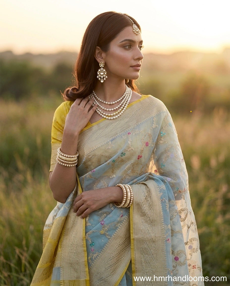 Sky Blue Handwoven Pure Organza Silk Saree