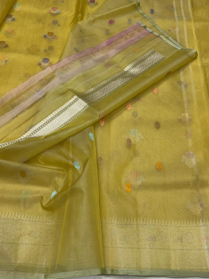 Mehndi Yellow Handwoven Pure Organza Silk Saree