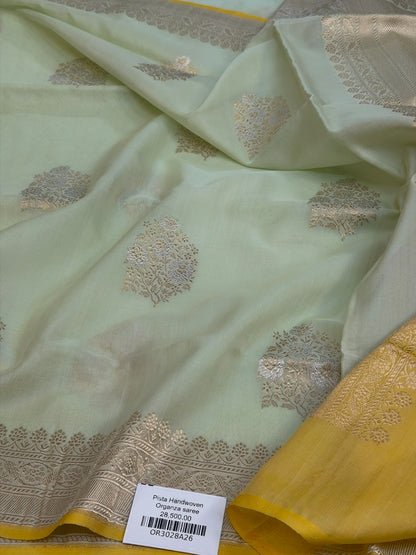 Pista Handwoven Pure Ektara Organza Silk Saree