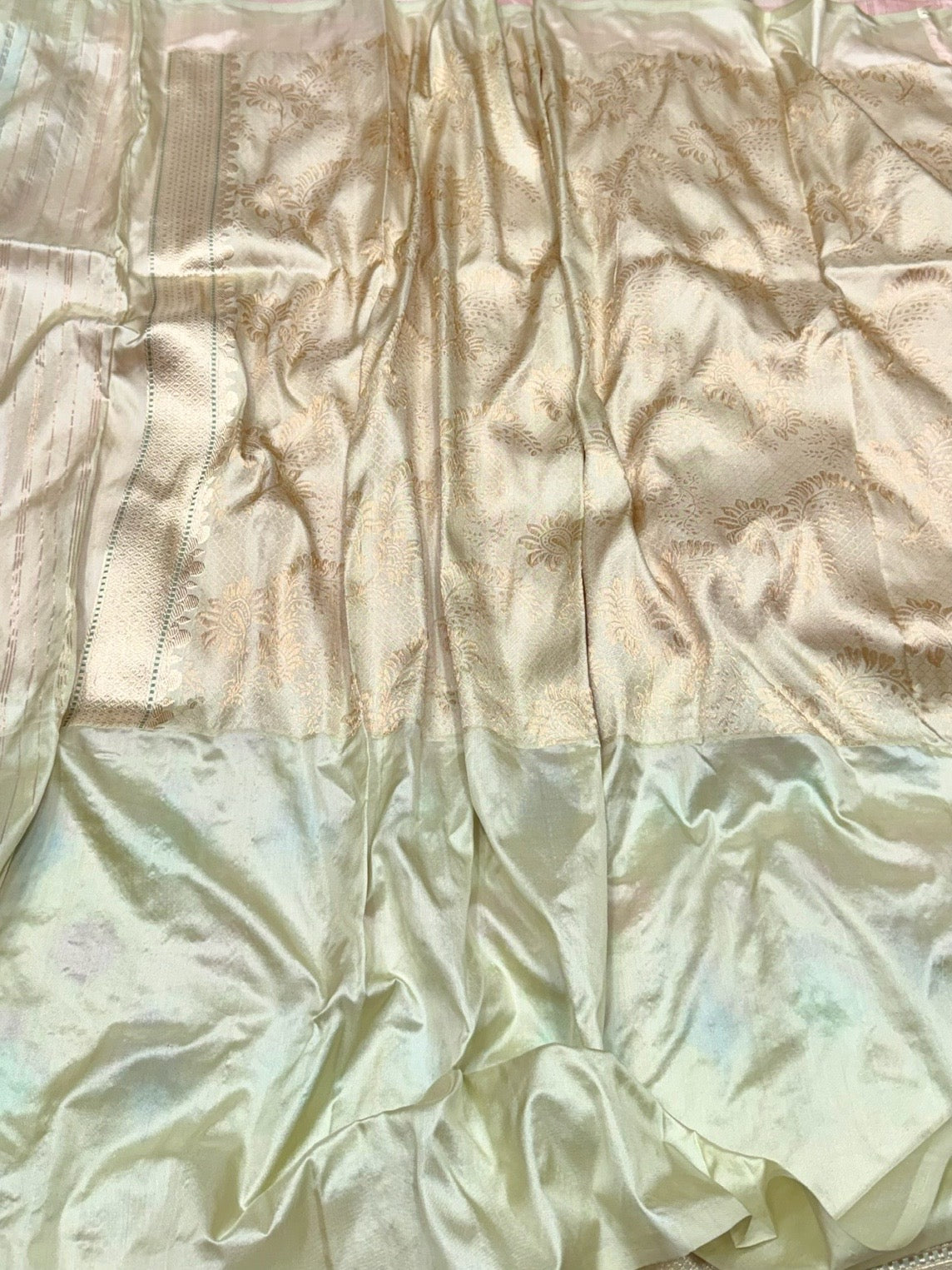 Pista Handwoven Pure Banarasi Ektara Silk Saree