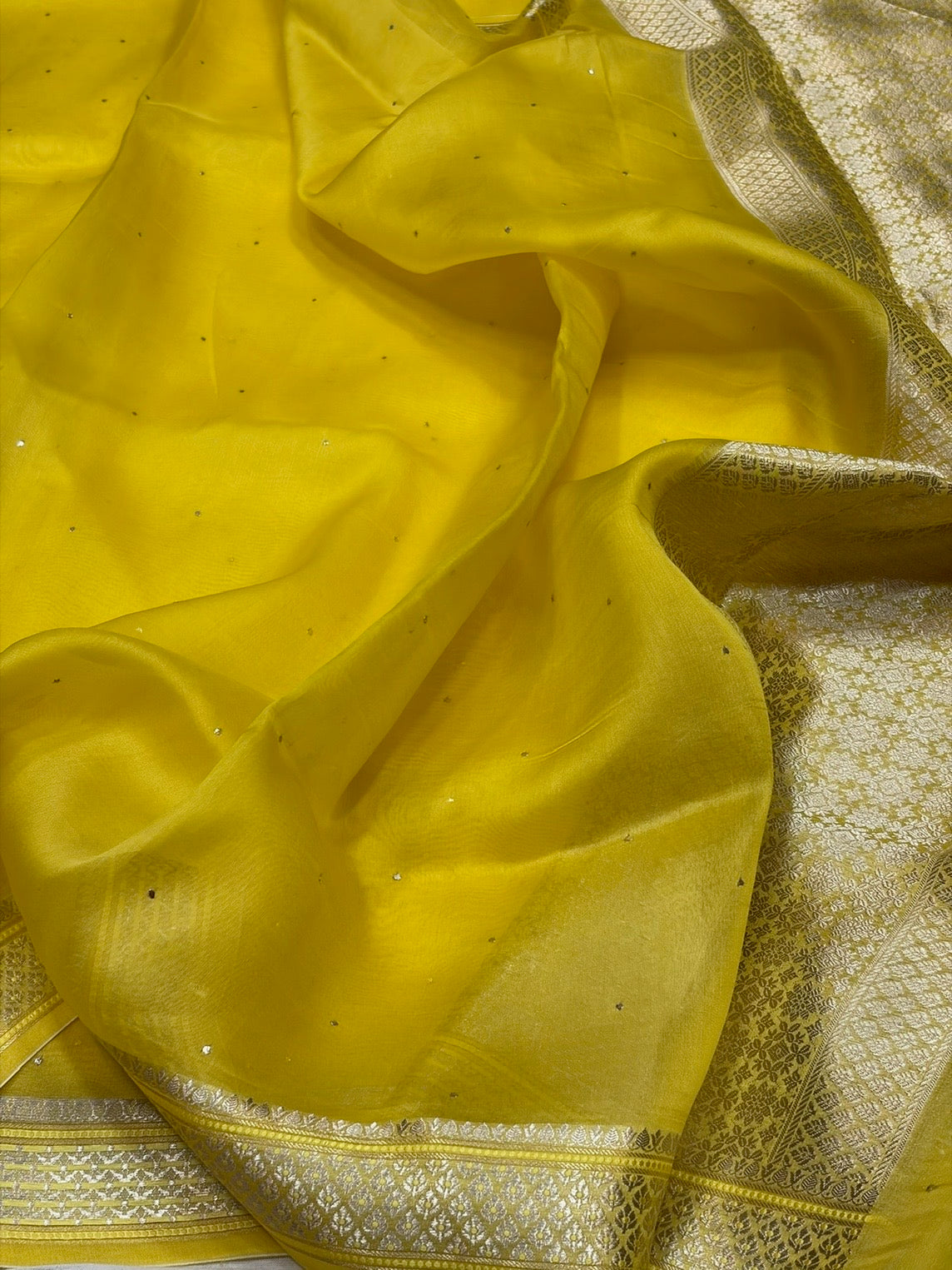 Banarasi Pure Organza Silk Saree