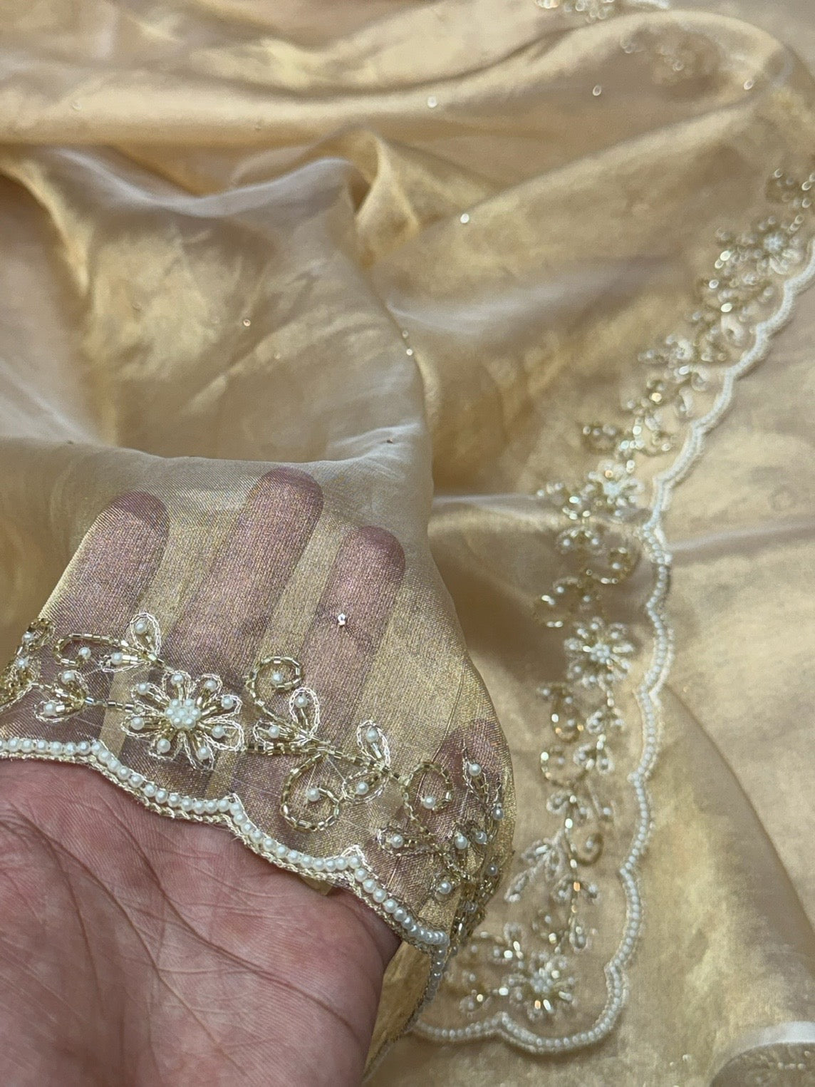 Champagne Gold Pure Banarasi Tissue Hand Embroidery | Pure Kora Tissue | Cutwork Technique | Lightweight Banarasi Saree