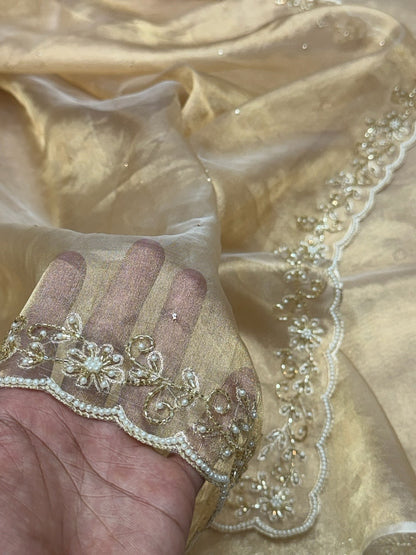 Champagne Gold Pure Banarasi Tissue Hand Embroidery | Pure Kora Tissue | Cutwork Technique | Lightweight Banarasi Saree