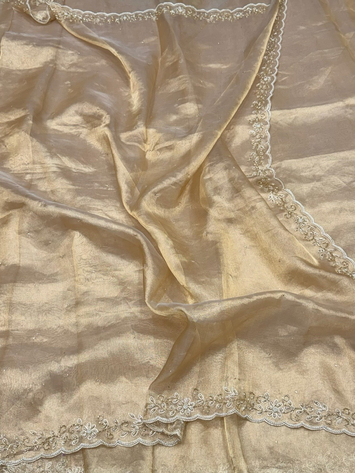 Champagne Gold Pure Banarasi Tissue Hand Embroidery | Pure Kora Tissue | Cutwork Technique | Lightweight Banarasi Saree