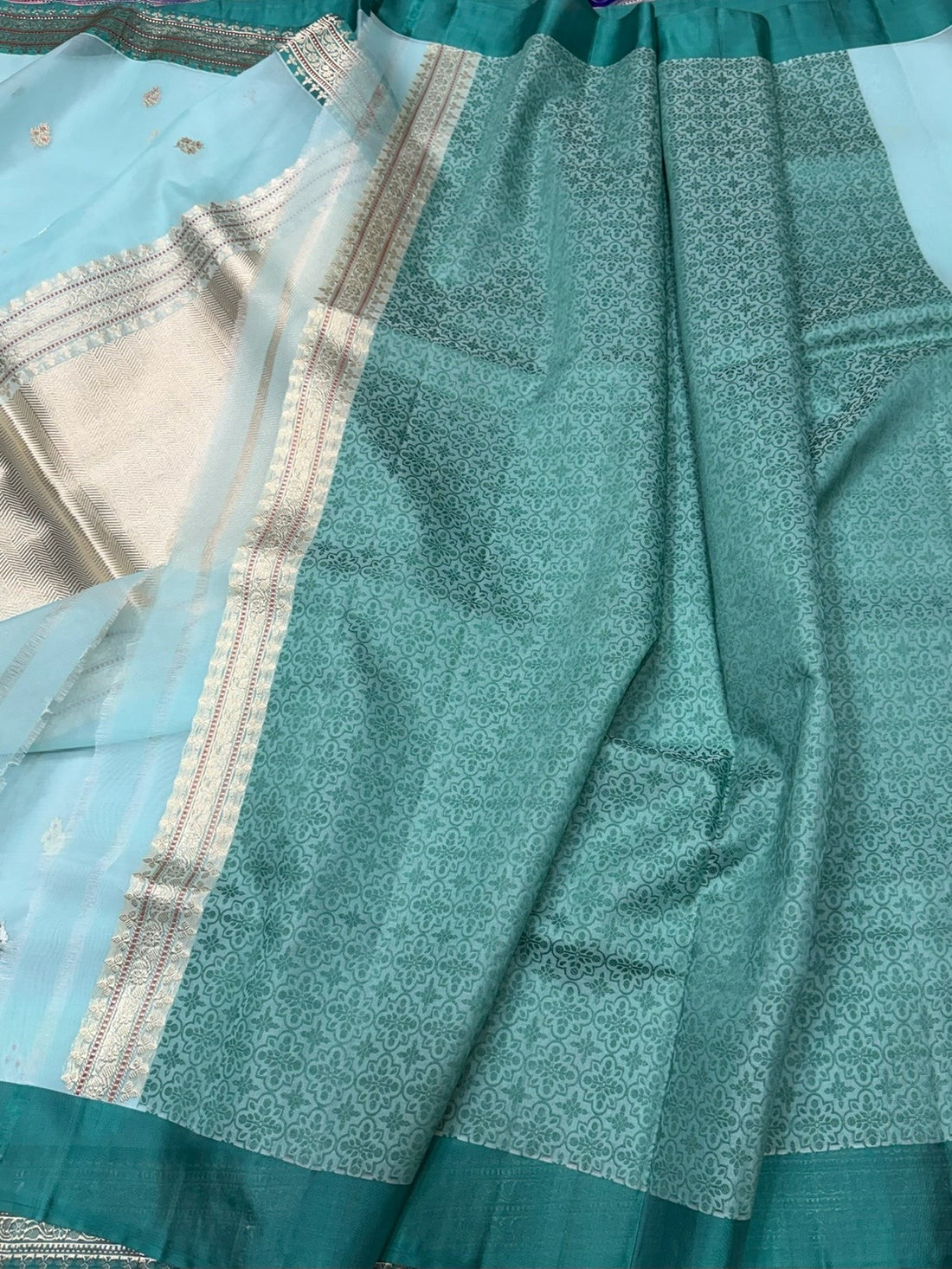 Sky Blue Handwoven Pure Organza Silk Saree