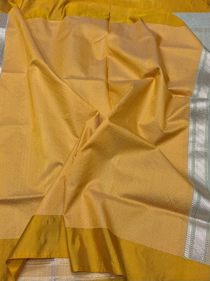 Pista Handwoven Pure Organza Silk Saree