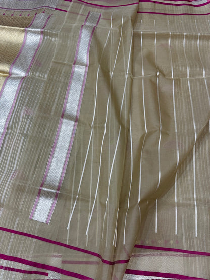 Handwoven Pure Organza Saree